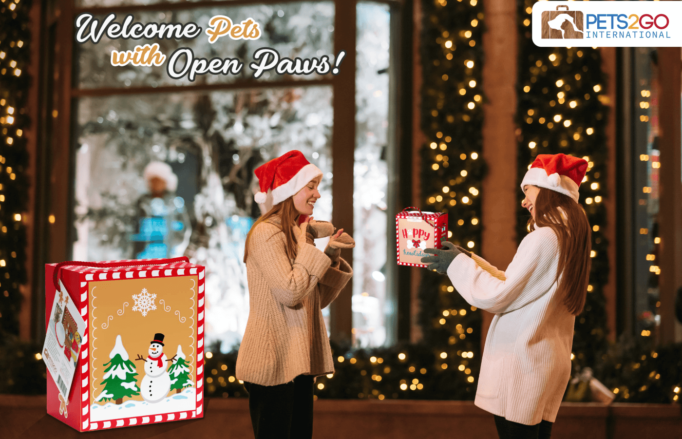 Flyers posters for PETS2GO International in United States